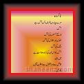 Shahmem Na-kurda 01 * 22.03.2008 * 504 x 758 * (43KB)
